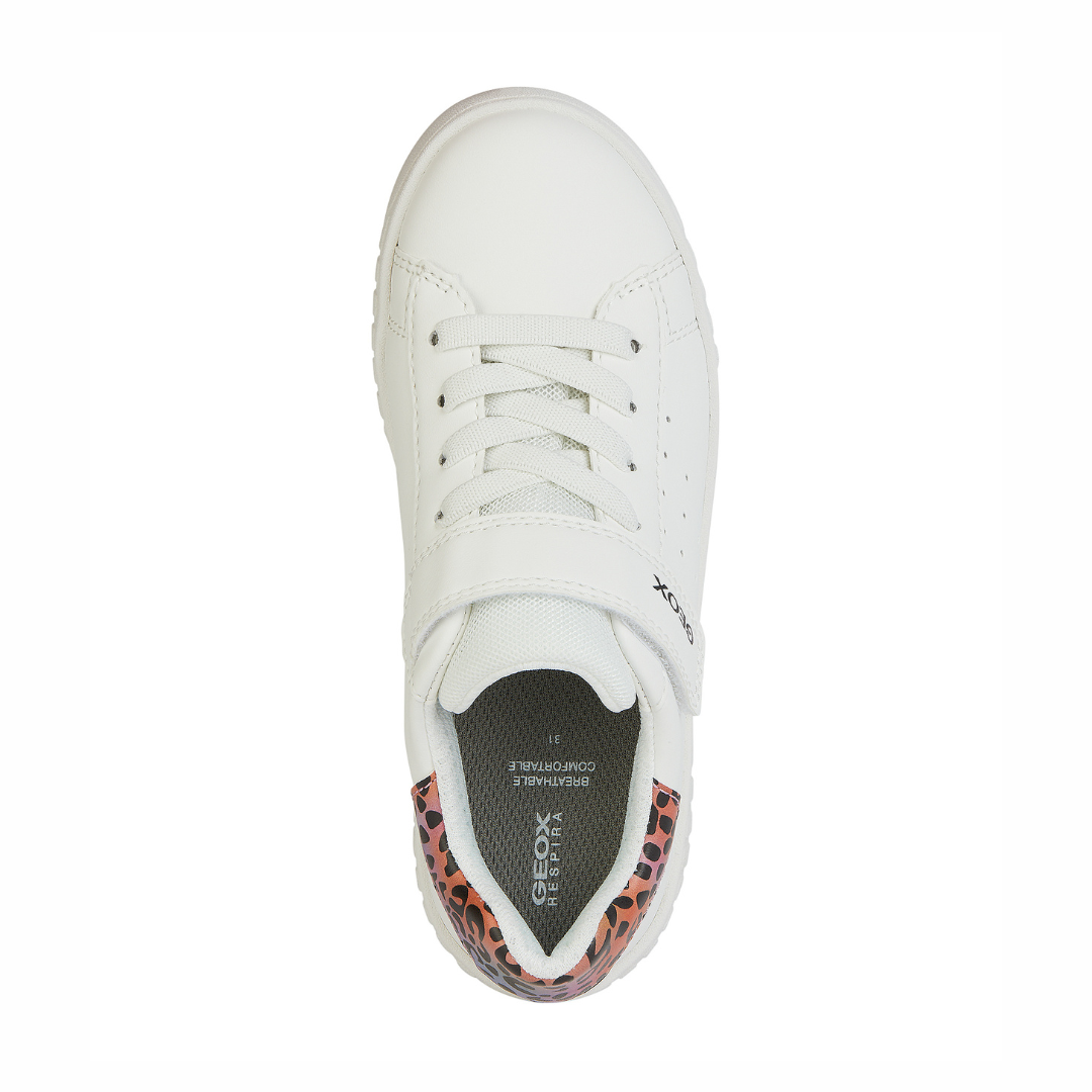 Geox Mikiroshi C Casual Shoes